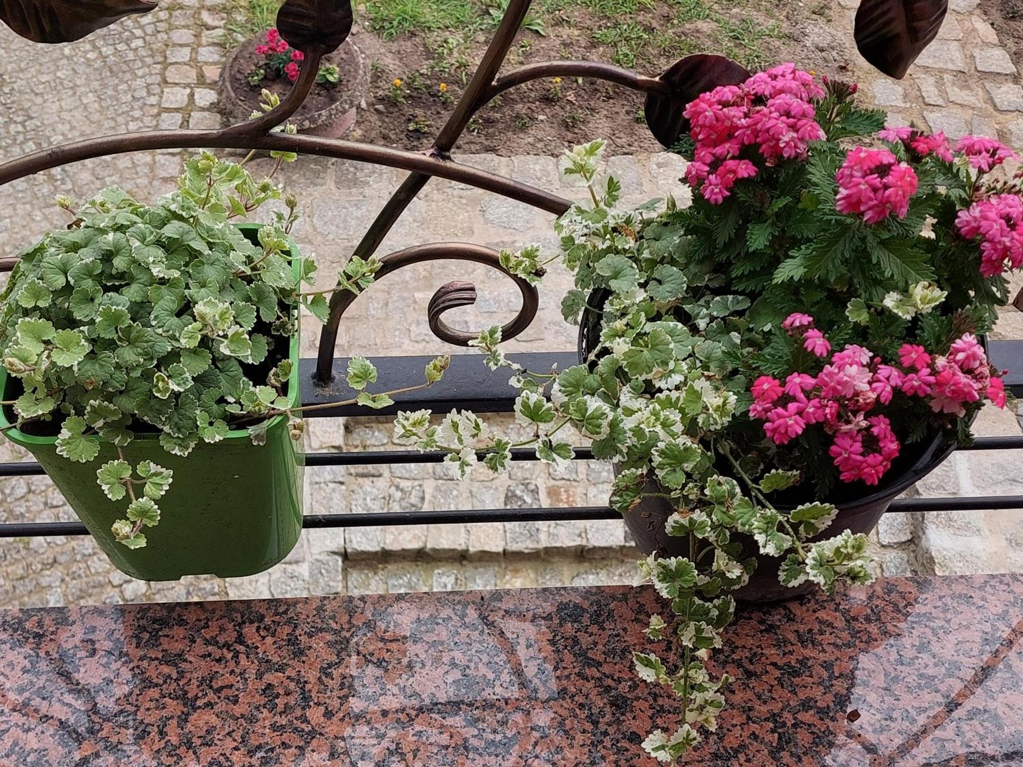 La Brigitte Apartment Hennigsdorf Ruang foto